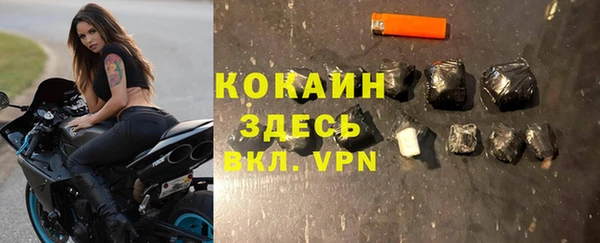 сатива Абинск